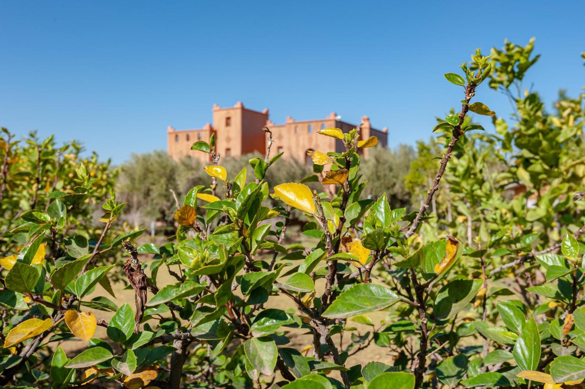 Ferme Sidi Safou & Spa Marrakesh Buitenkant foto