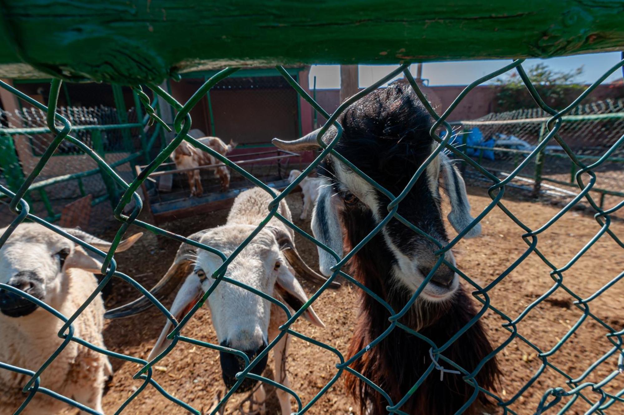 Ferme Sidi Safou & Spa Marrakesh Buitenkant foto
