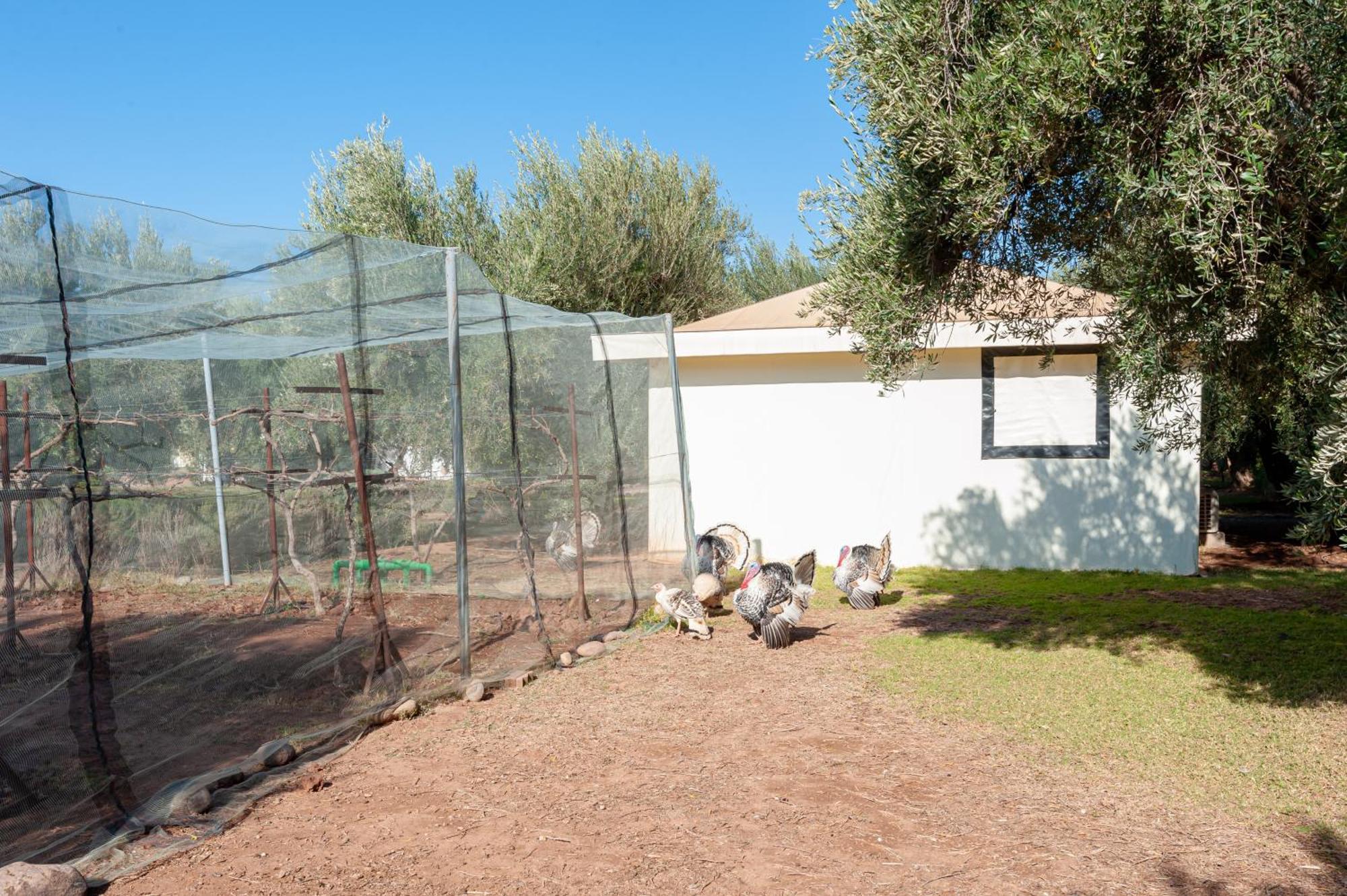 Ferme Sidi Safou & Spa Marrakesh Buitenkant foto