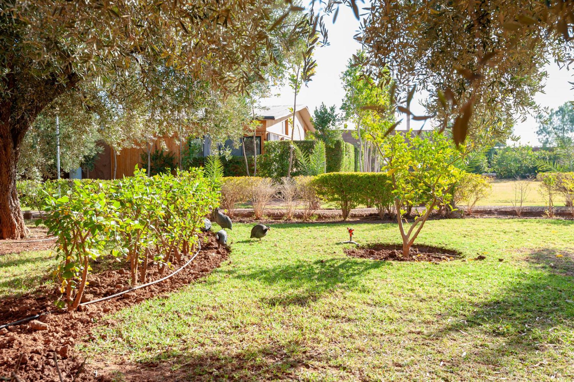 Ferme Sidi Safou & Spa Marrakesh Buitenkant foto